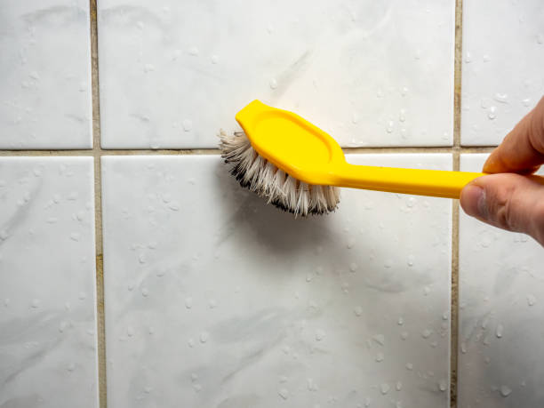 Best Mold Cleaning Services  in Lake Lorraine, FL